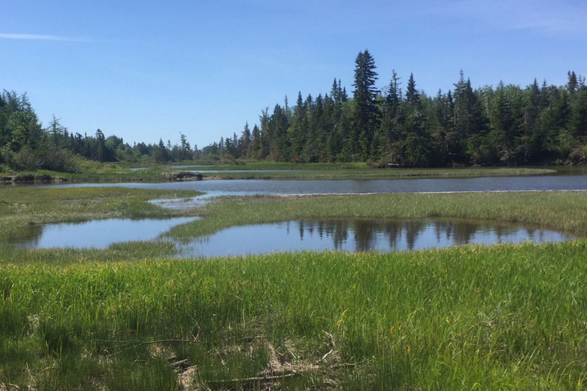 Indian River Conservation Area