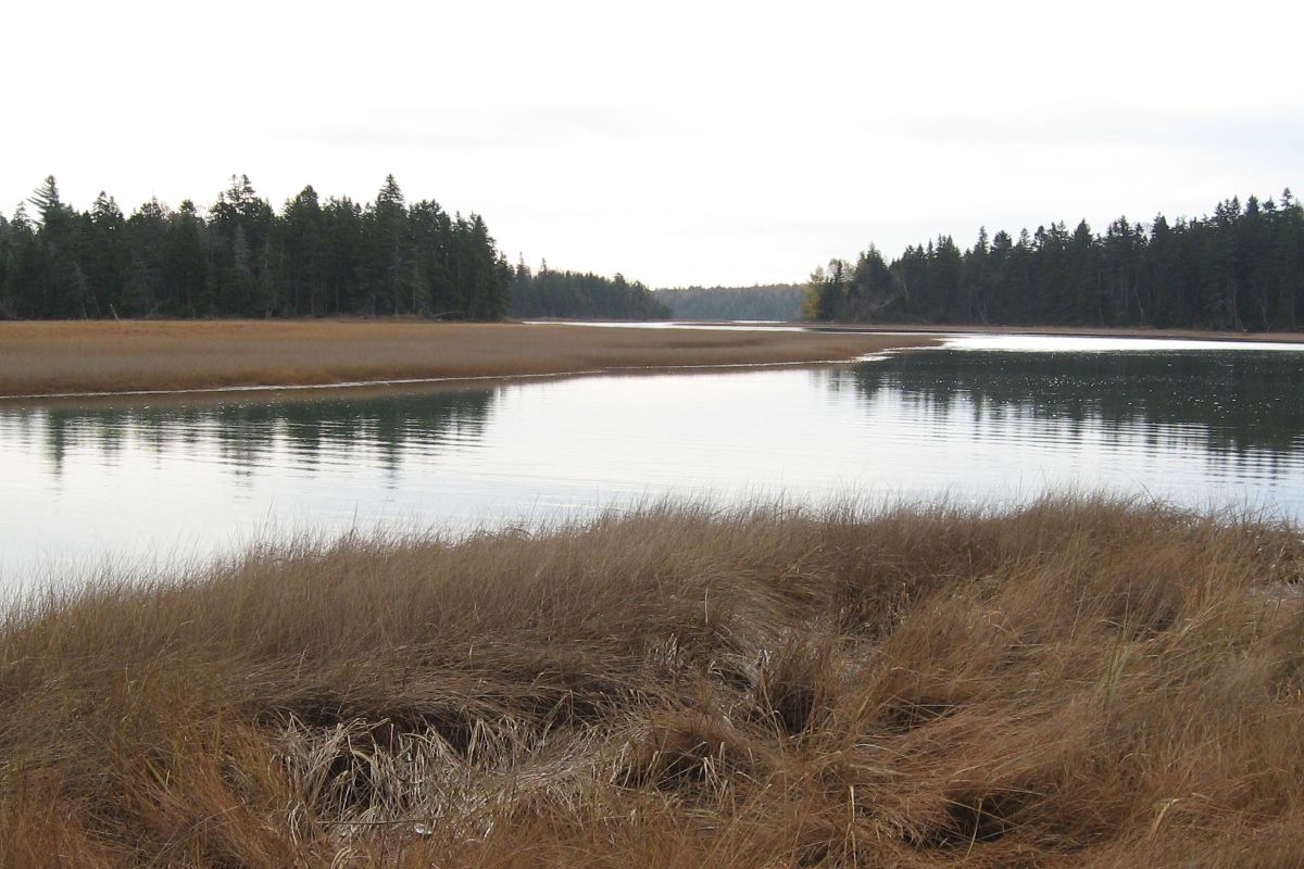 Mason Bay Conservation Area