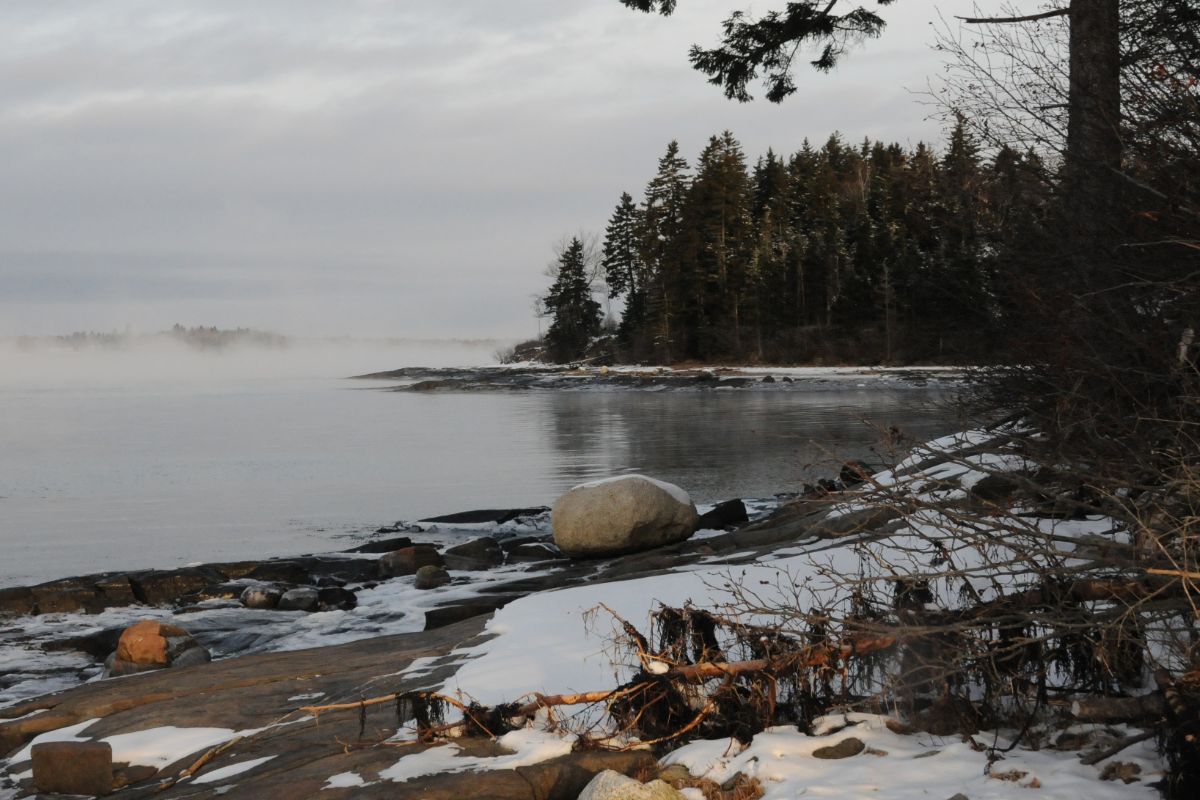 Pleasant Bay Wildlife Management Area