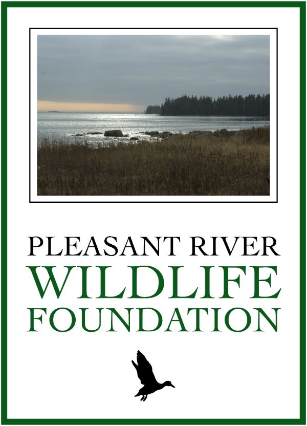 Pleasant River Wildlife Foundation