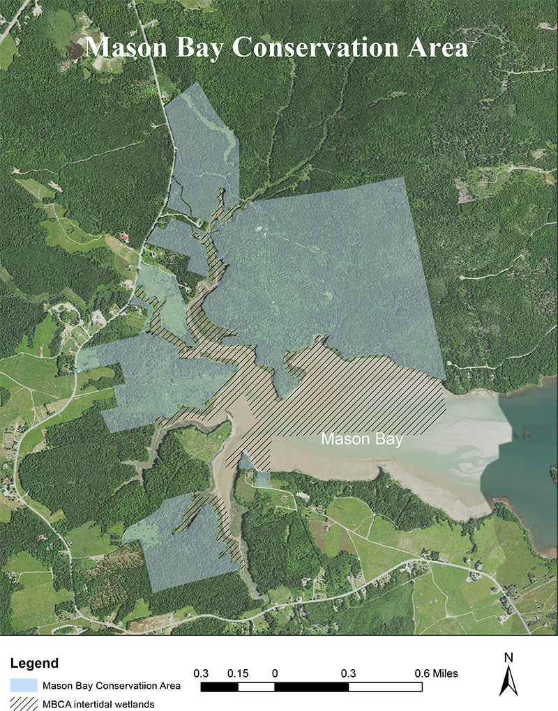 Mason Bay map