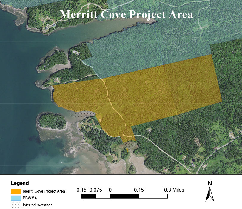 Merritt Cove area map