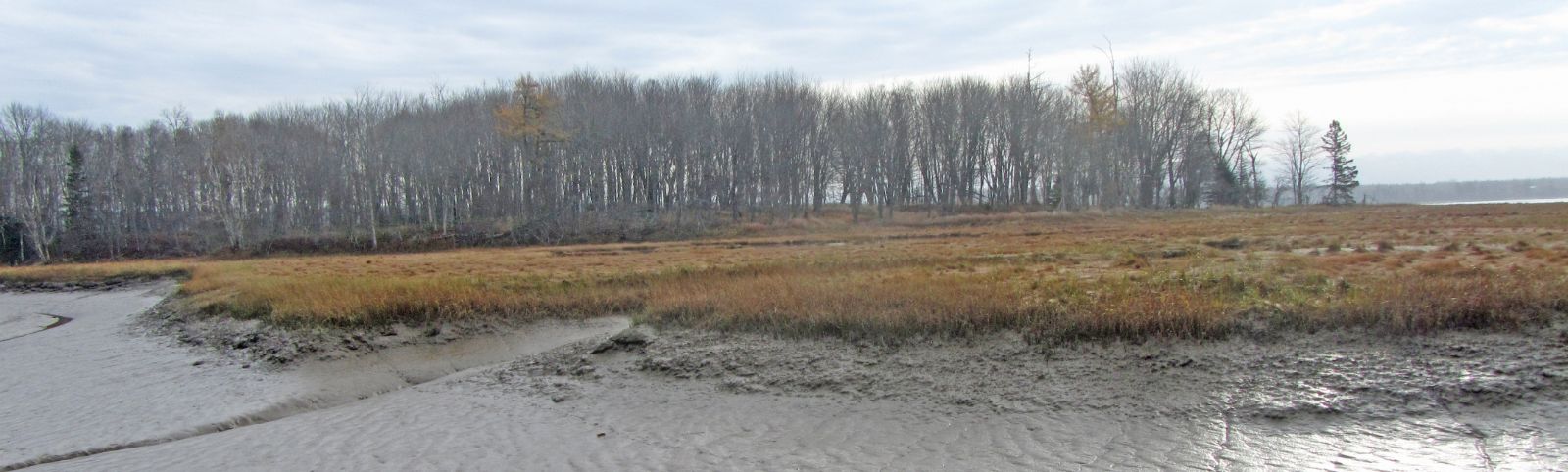 Marsh Island in autumn