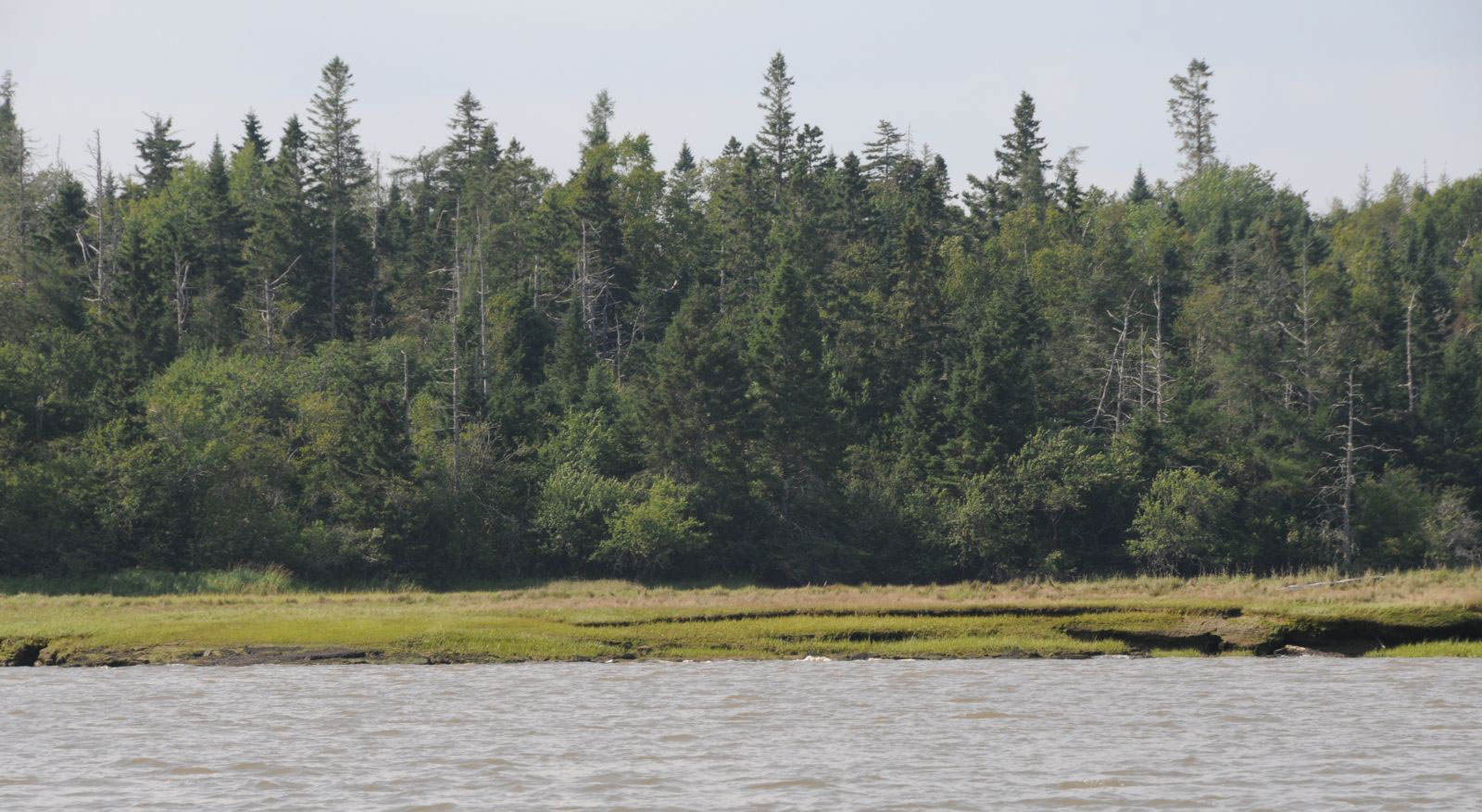 View of Marsh Island from river