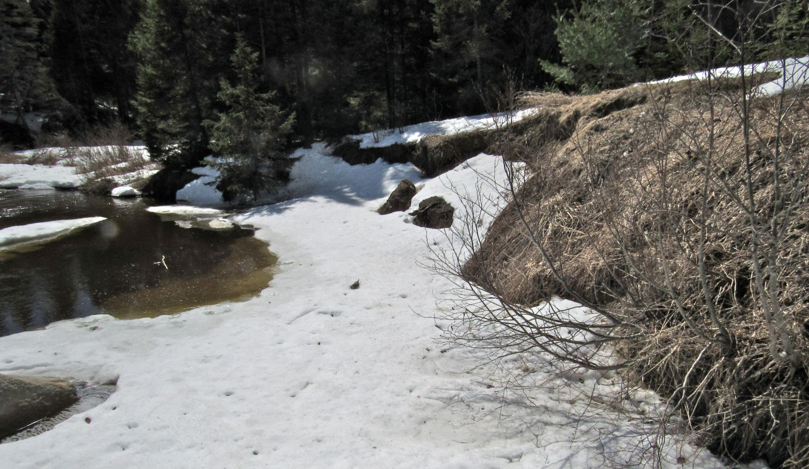 River bank erosion