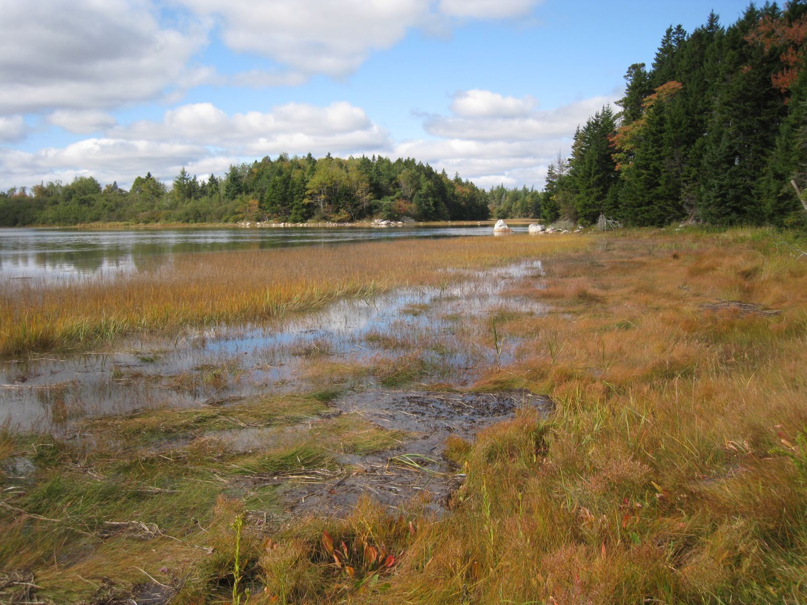 Mason Bay in fall