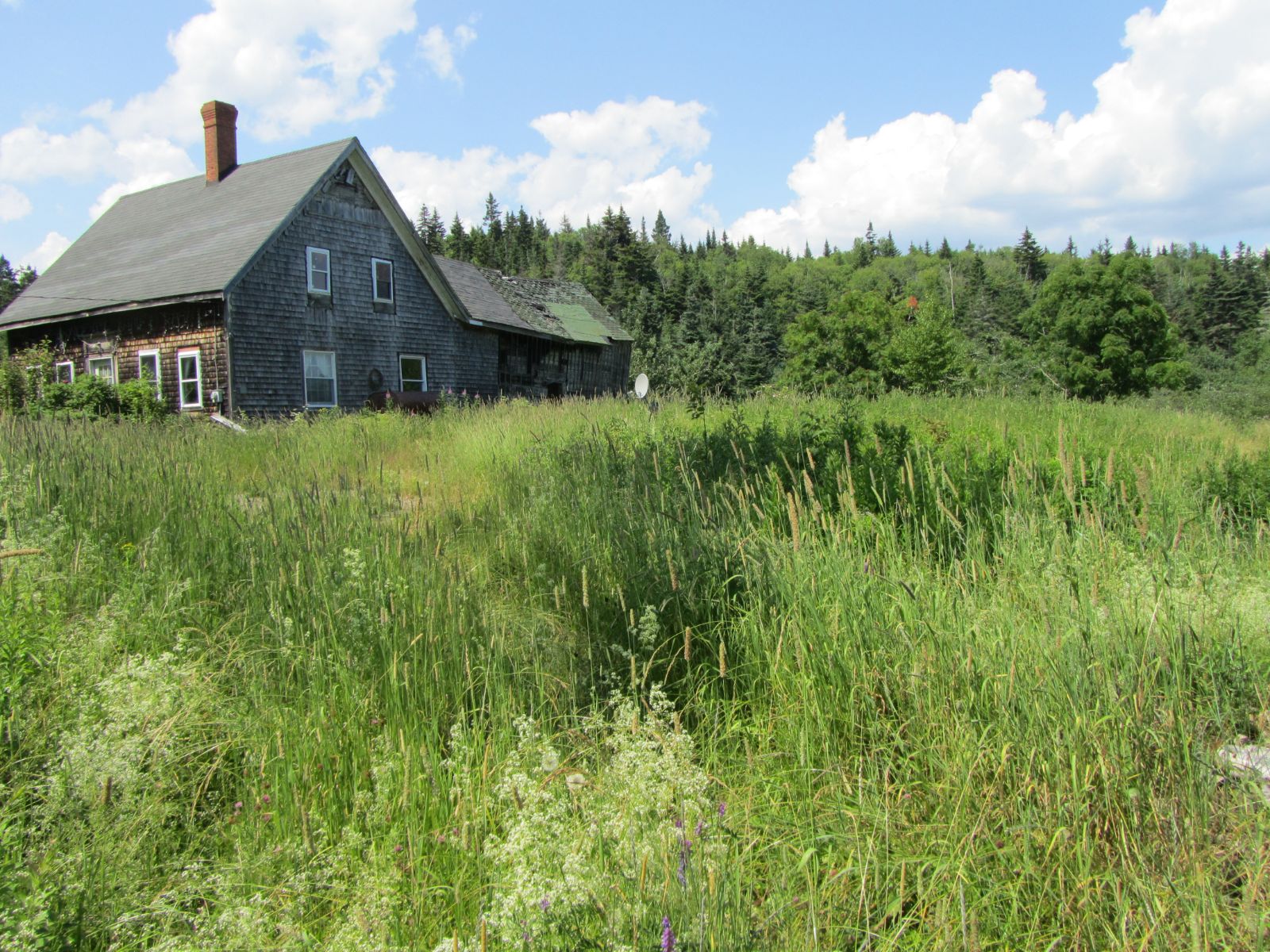 House originally on the property