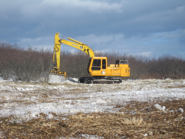 Roost field treatment